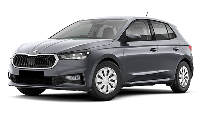 Фото модели Skoda Fabia